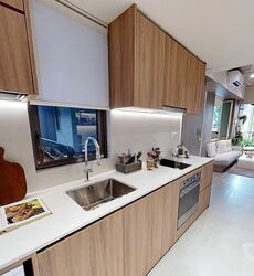 The Reserve Residences (D21), Apartment #529484041